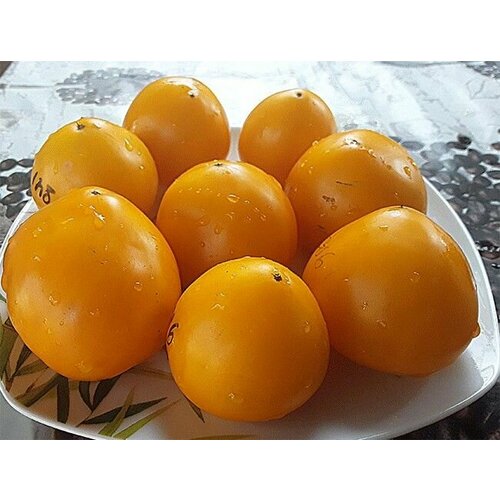 ������ ������ ������������� ������ ������ ���� ������� ������ ����