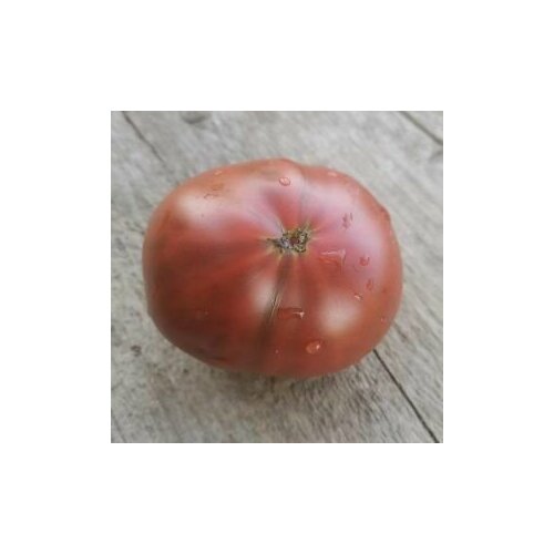 ������ ������ ������������� ������ ������ ���� ��� ����