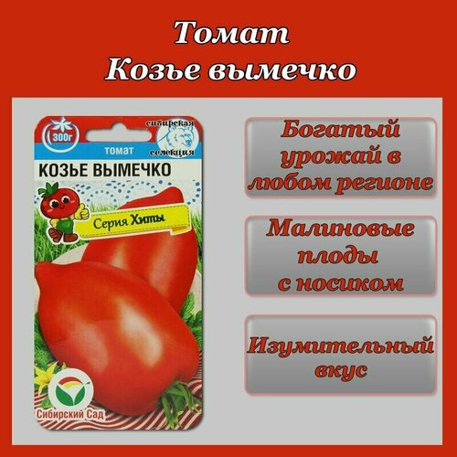 ������ ������ ����� ����� ������� (1 ��������-20�� �����) ����