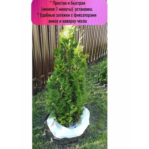 ������ ������ ������ ����� ��� ��� � ��������������, ��� ��� � ������ (100*80, 120*80, 160*80 ��), 3 �� � ��������� ����