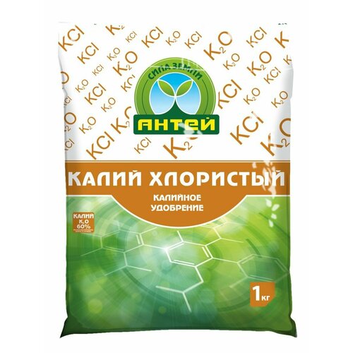 ������ ������ ����� ��������� �������� ���������, 1 �� ����