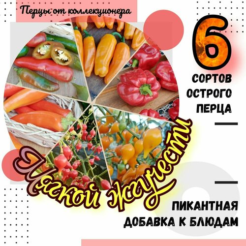 ������ ������ ����� ������, ����� �����, 6 ������ ������ �������� ����