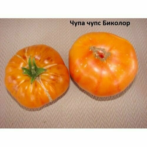 ������ ������ ������������� ������ ������ ����- ���� ������� ����