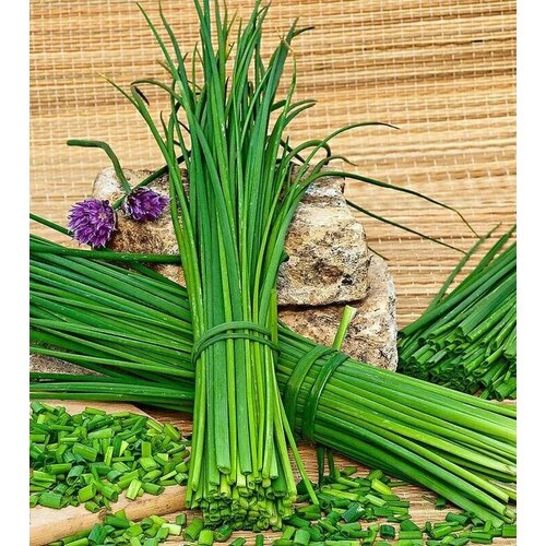 ������ ������ ������������� ������ ���� ����� ������ �������� ����