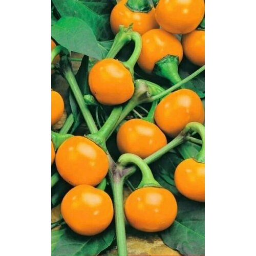 ������ ������ ������������� ������ ����� �������� ���������� ������� ����