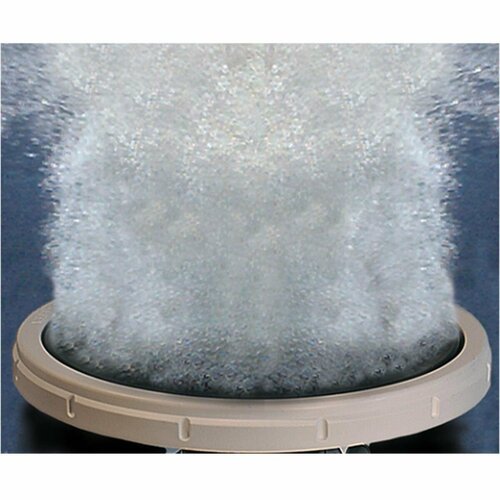 ������ ������ ������� ����������� �������� �� �������� ��� �����, ��������� � �������, 21 �� ����