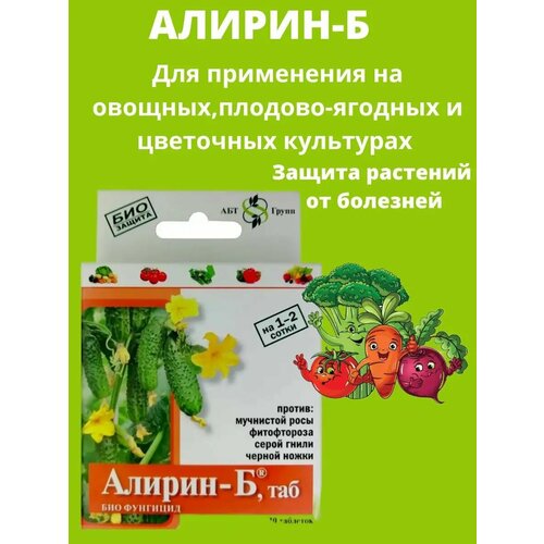 ������ ������ ��������� ������-� 20 ��������������� �������� ����