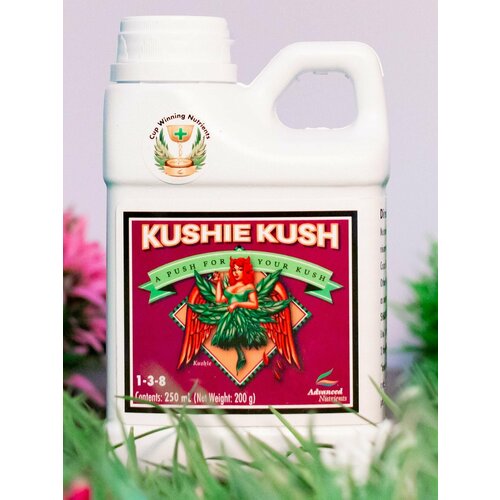 ������ ������ ������� AN Kushie Kush 250 �� ����