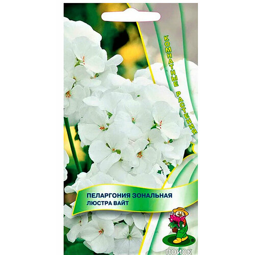 ������ ������ ������ ���������� ������ ���� F1 5��. ����� ����