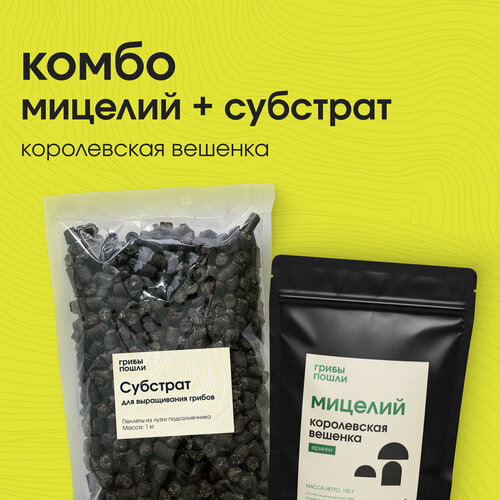 ������ ������ �����-����� ��� ����������� ������. ����������� ������� ����