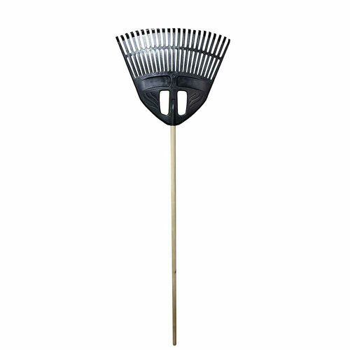 ������ ������ ������ ������� 23 ���� �������� � ���������� �������� 1� ����