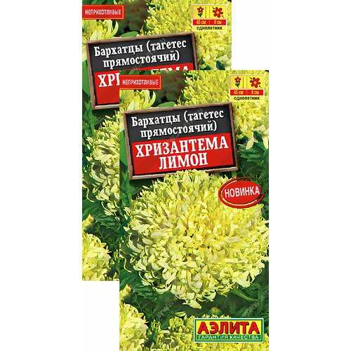 ������ ������ �������� ���������� ����� ������������ (0,1 �), 2 ������ ����