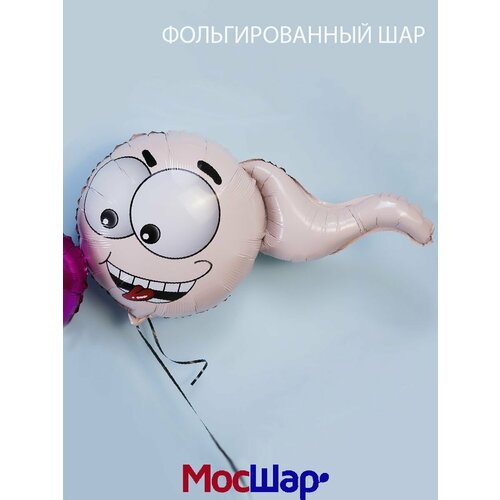 ������ ������ ��������� ���� �� ��������, �������������� 80 �� ������ ����