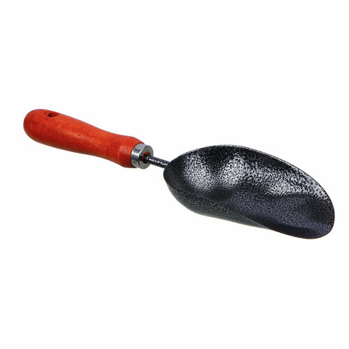 ������ ������ ����� ������� ����