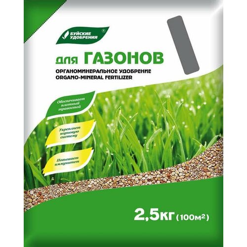 ������ ������ ��� 