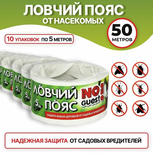 ������ ������ ������ ���� �� ������� ���������� NoGuest, ��� ��������, 50 � (10 ��. �� 5 ������) ����