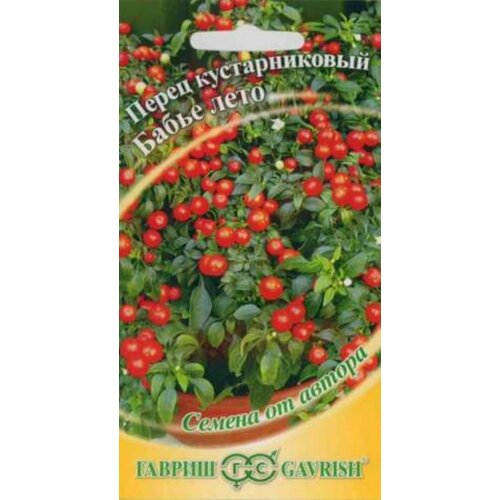 ������ ������ ������ ����� �����. ����� ���� 5�� ������ (������) ����� ����