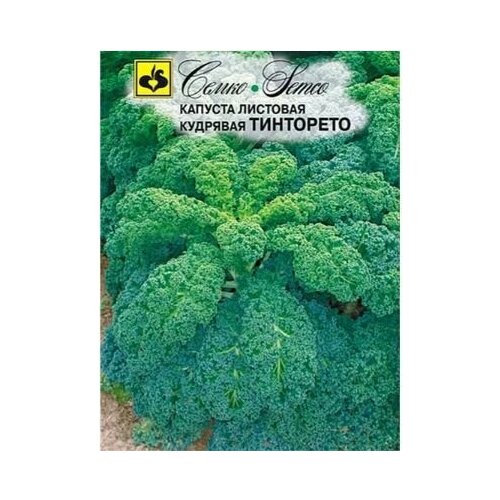 ������ ������ ������� �������� (����) ��������� (1 ��������), ������ ����