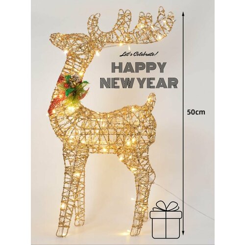 ������ ������ ���������� ����� ���� ������ 50 �� ����