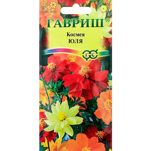 ������ ������ ������. ������ 