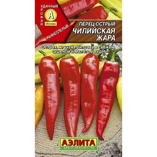 ������ ������ ����� ������ ��������� ����, ������ ������ 20�� ����