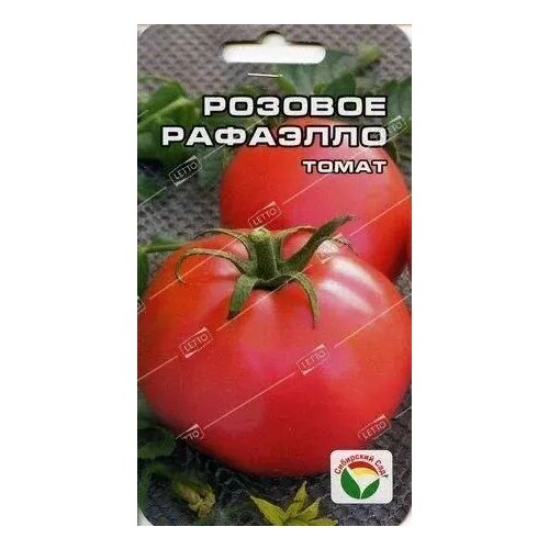 ������ ������ ����� ������� ��������, ������ ��������� ��� 20�� ����