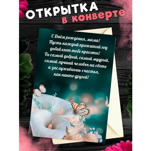 ������ ������ �������� �6 � �������� � ���� ��������, ����! ����