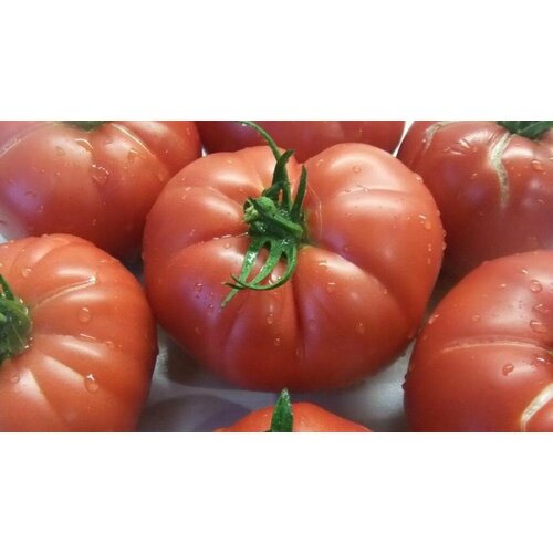 ������ ������ ������������� ������ ������ ����������� ������� ����