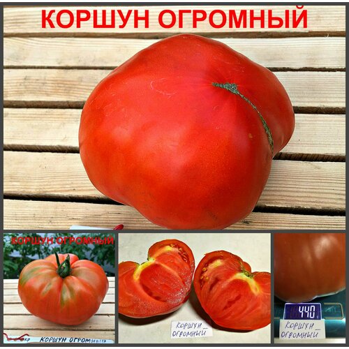 ������ ������ ������������� ������ ������ ������ �������� ����