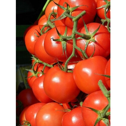 ������ ������ ������������� ������ ������ ������ 70 ����