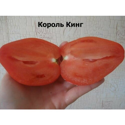 ������ ������ ������������� ������ ������ ������ ���� ����