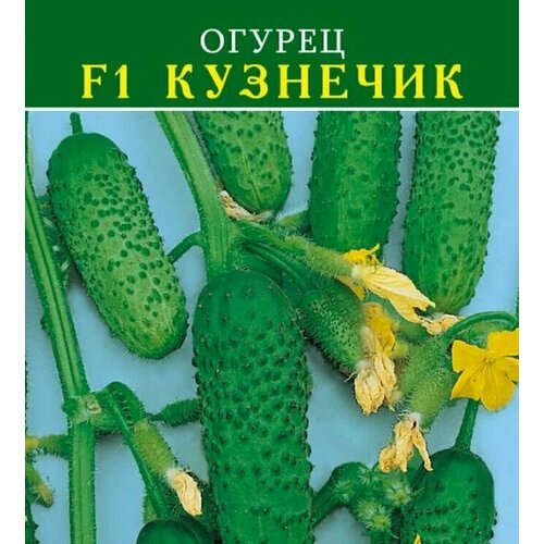 ������ ������ ������������� ������ ������ F1 �������� ����