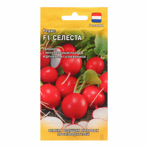 ������ ������ ������ ����� 