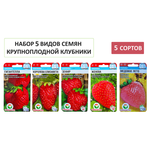 ������ ������ ����� 5 ����� ����� ��������: �������� ���������, ����������, �����, ������, ������� ���� ����