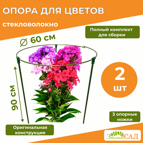 ������ ������ ����� ��� ������ /��������������/ �������� ��� ����/ �������������/ 2 ����� ����