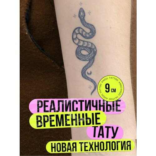 ������ ������ ���� ���������� �������������� �������� ���� ����