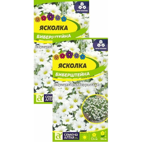 ������ ������ ������� ����������� (0,1 �), 2 ������ ����