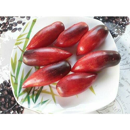 ������ ������ ������������� ������ ������ ������ ������ ����