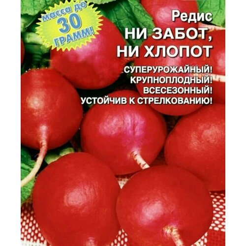 ������ ������ ������������� ������ ������ �� �����, �� ������ ����