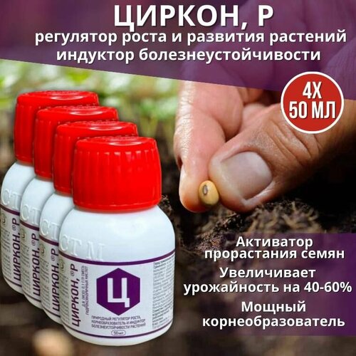 ������ ������ ����������� ��������� ��������� ����� �������� ������ 50 ��, 4 �� ����