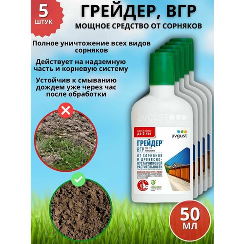 ������ ������ ������ �������� �������� �� �������� �������, ��� 50 �� 5 �� ����