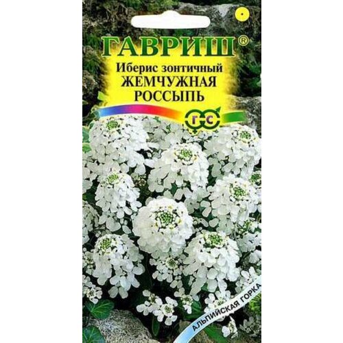 ������ ������ ������ ������ ��������� ������� ��������� 0,1� ��� 40�� (������) ���������� ����� ����