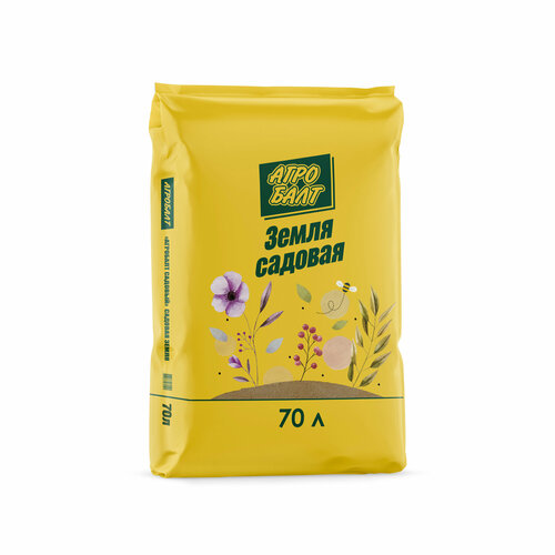 ������ ������ ����� 