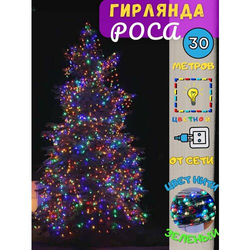 ������ ������ �������� ���� ����