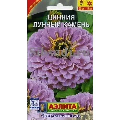 ������ ������ ������ ������ ������, ������ ������ 0,3� ����