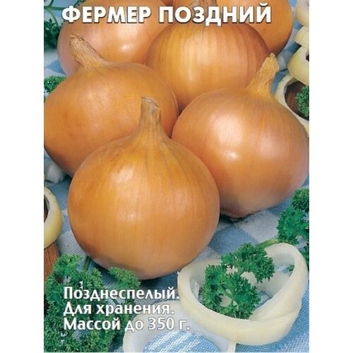 ������ ������ ������������� ������ ���� �������� ������ ������� ����