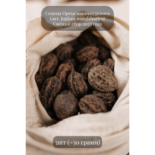 ������ ������ ������ ����� ������������� ����