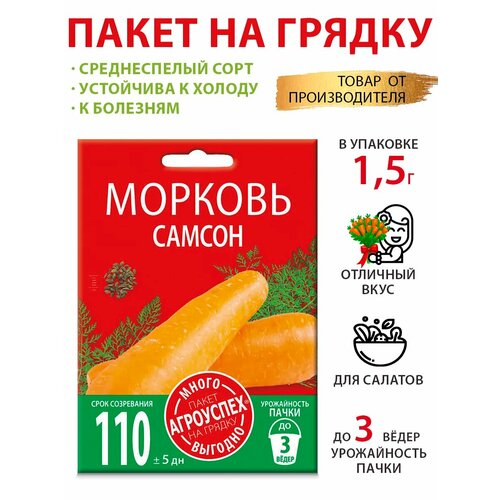 ������ ������ ������ ������� ������ 1,5� ����