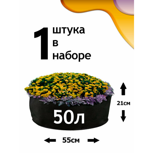 ������ ������ ������ �� ����������� - 50� - 1�� ����