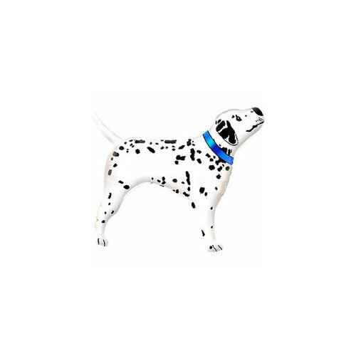 ������ ������ ��� (13'/33 ��) ����-������, ������ ����������, 1 ��. ����